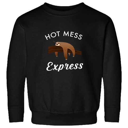 Sloth Pet Hot Mess Express Lazy Funny Sloth 1 Sweatshirts