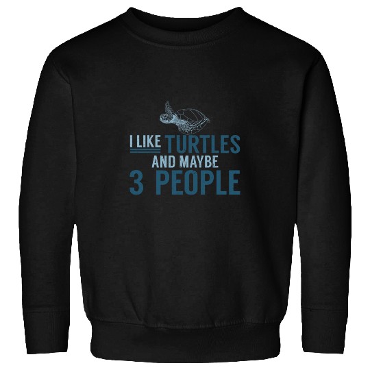 Turtle Pet I Like Turtles And Maybe 3 People Funny Turtle Sweatshirts