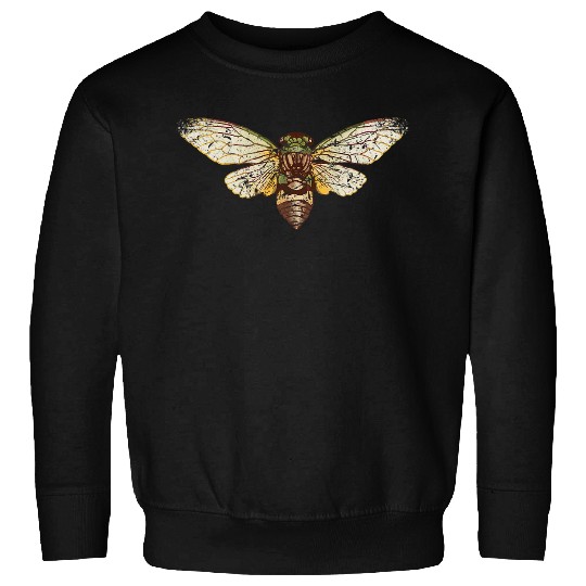 Cicada 2vintages Distressed Style Sweatshirts