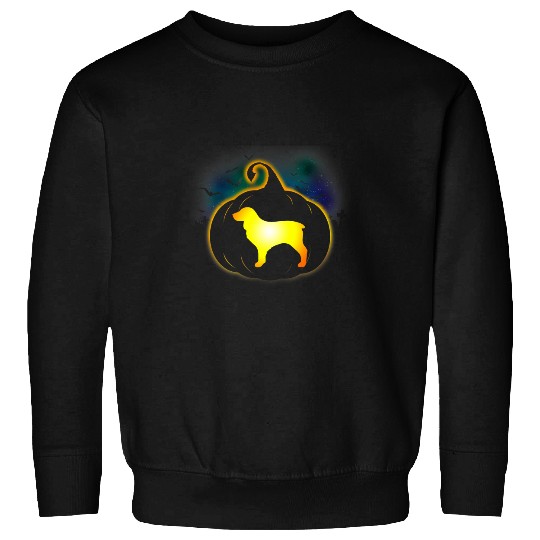 Boykin Spaniel Pumpkin Funny Halloween Sweatshirts