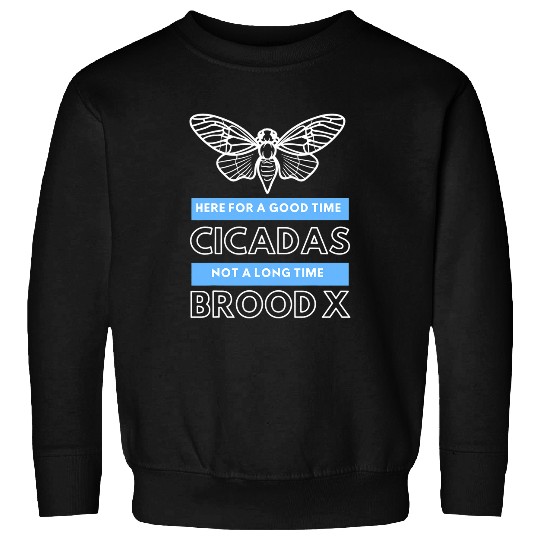 Cicada Brood X Here For A Good Time Not A Long Time Funny Sweatshirts