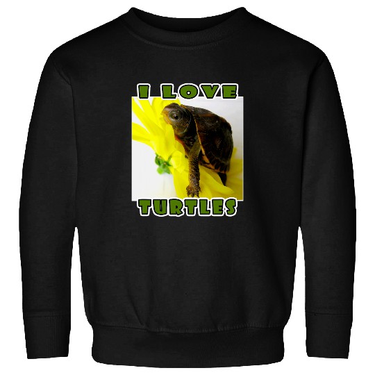 Turtle Pet I Love Turtles Funny Cute Box Turtle Girls Boys Kids Youth Sweatshirts