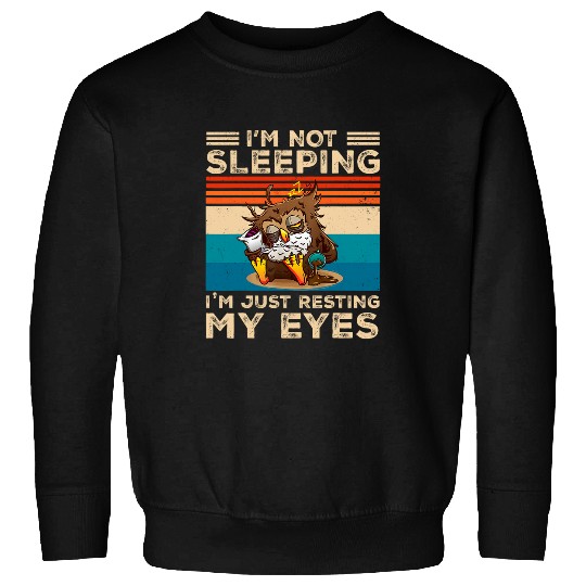 Owl Pet Funny Dad Joke Owl I m Not Sleeping I m Just Resting My Eyes Sweatshirts