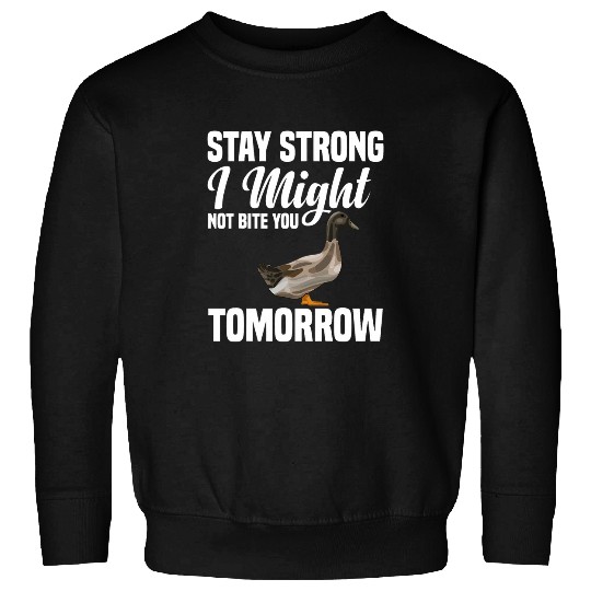 Duck Pet Khaki Duck Terrarium Eggs Food Toys Enclosure Khaki Ducks Sweatshirts