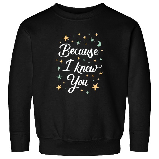 Wicked Elphaba Glinda Because I Knew You Starry Sky Sweatshirts