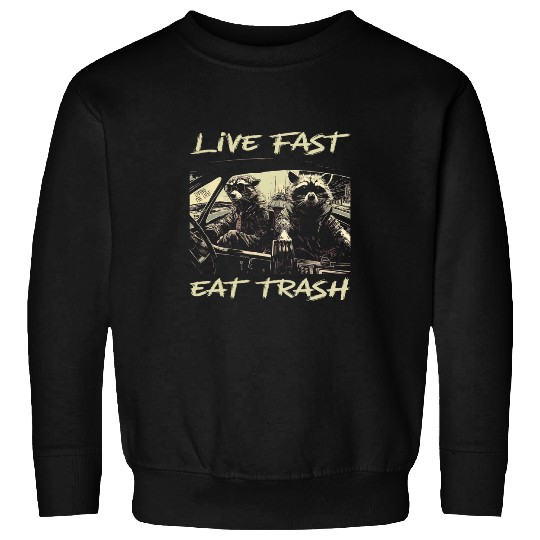 Raccoon Pet Sunset Raccoon Live Fast Eat Trash And Get Hit By A Car 2 Sweatshirts