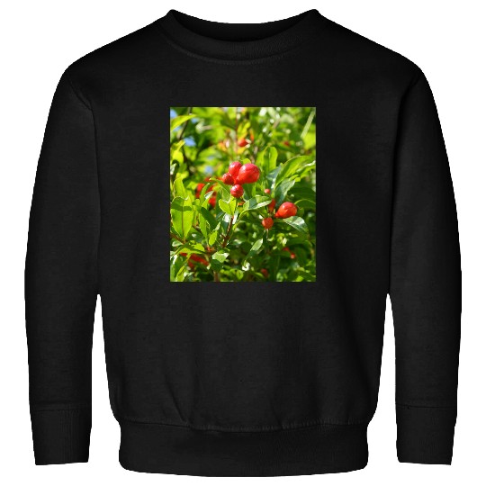 Pomegranate Closed Red Flower Bud Photography Sweatshirts