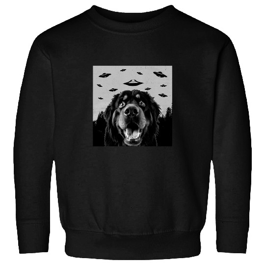 Alien UFO Funny Tibetan Mastiff Dog Lover Men Women Kids Sweatshirts
