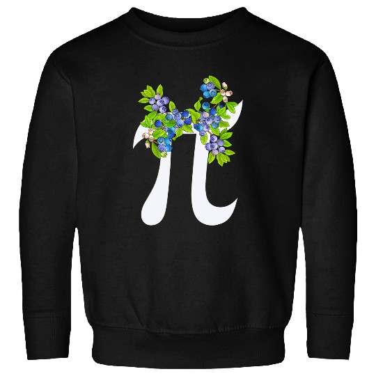 Funny Blueberry Teacher Math Lover Pi Day Women Girls Kids Sweatshirts