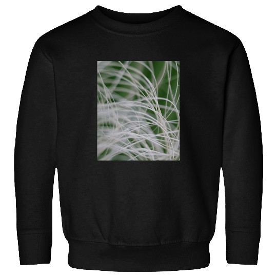 Abstract Macro Photograph Of Mediterranean Palm Sweatshirts