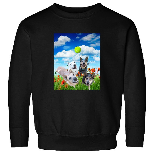 Blue Red White Heeler Cattle Dogs Playing Ball Sweatshirts