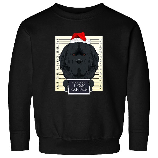 Dear Santa I Can Explain Funny Christmas Newfoundland Sweatshirts