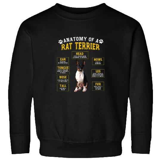Dog Rat Terrier Funny Anatomy Rat Terrier Gifts For Women Men Sweatshirts