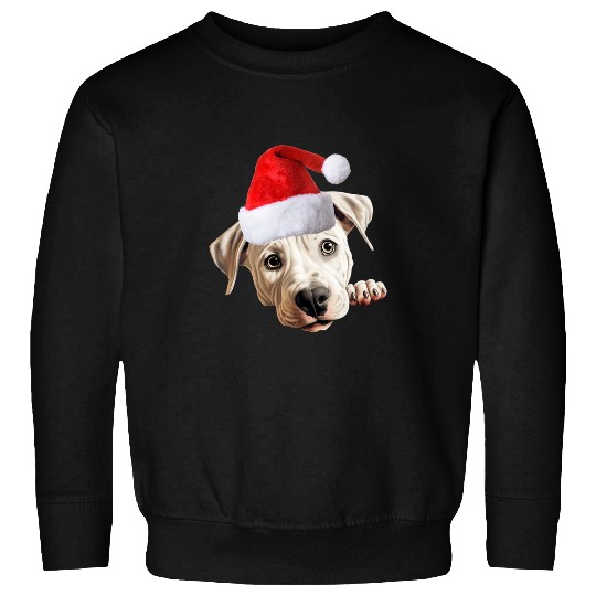 Dogo Argentino Dog Santa Claus Hat Christmas Holidays Sweatshirts