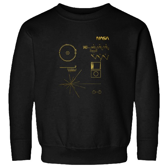 Lacrosse Gift Nasa Voyager Golden Record Message Worm Logo famous Sweatshirts