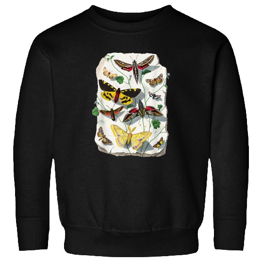vintages Butterfly and Moth Lepidopterology Insect Lovers Sweatshirts