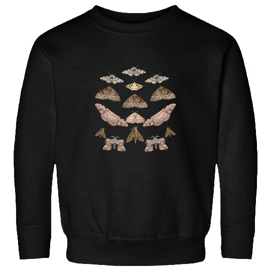 vintages Moths Aesthetic Insects Cottagecore Moth Lovers Fan Sweatshirts