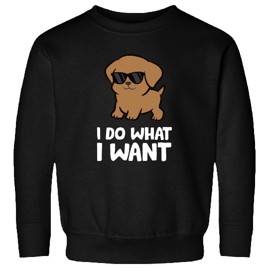 Discover Labrador Lab Dog I Do What I Want Funny Labrador Retriever Sweatshirts
