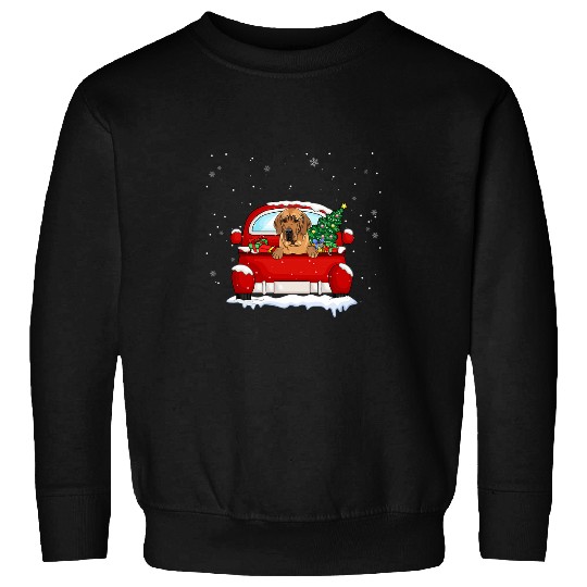 Dog Great Dane Fold Ride Red Truck Christmas Pajama Xmas Lover T-Shirt Sweatshirts