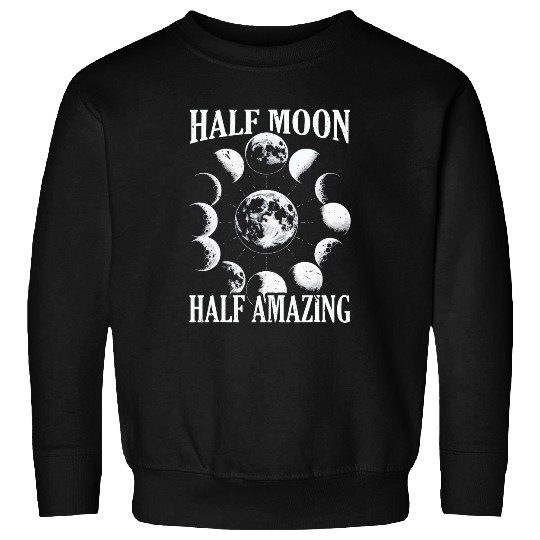 Moon Phase Full Moon Lunar Eclipse Astronomer Astronomy 2 Sweatshirts