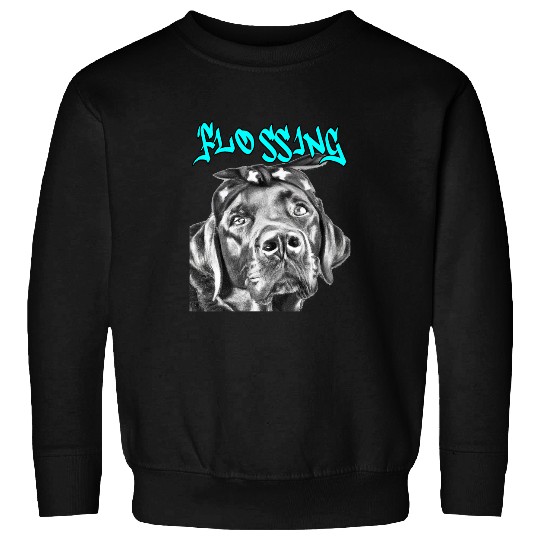 Labrador Lab Dog East coast rappers HIP HOP fashion Labrador Retriever Sweatshirts
