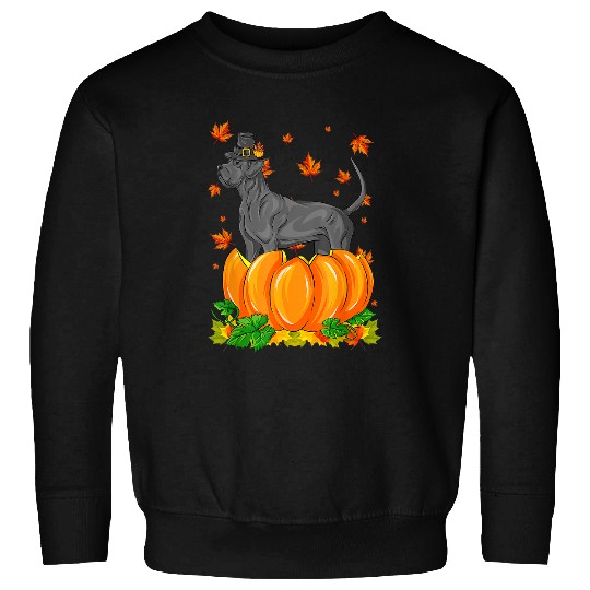 Dog Great Dane Happy Thanksgiving Dog Pumpkin Fall Autumn T-Shirt Sweatshirts