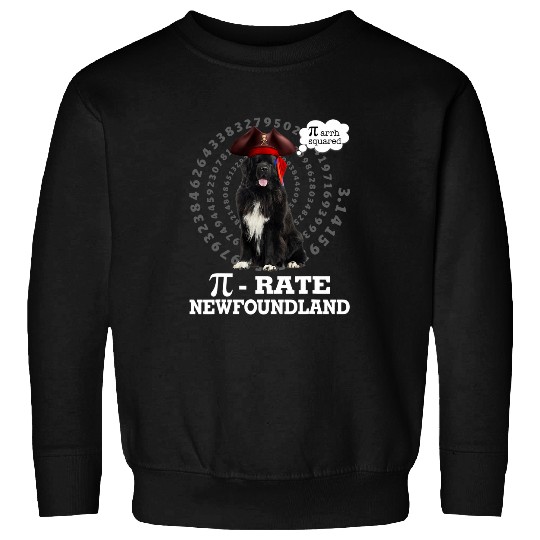 Newfoundland Dog Pirate Costume Pi Day Gift Sweatshirts