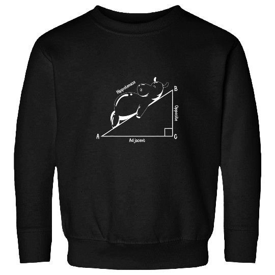 Funny Hippopotamus Math Teacher Geometry Teaching Student Sweatshirts
