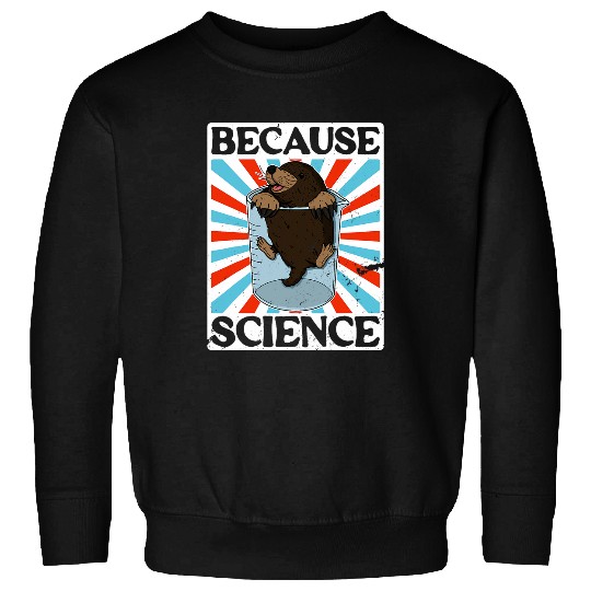 Mole chemistry number chemist physics scientist periodically 22 Sweatshirts