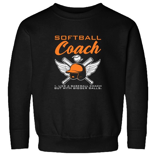 Softball Coachs Like A Baseball Coachs Bigger Balls Field Bat Sweatshirts