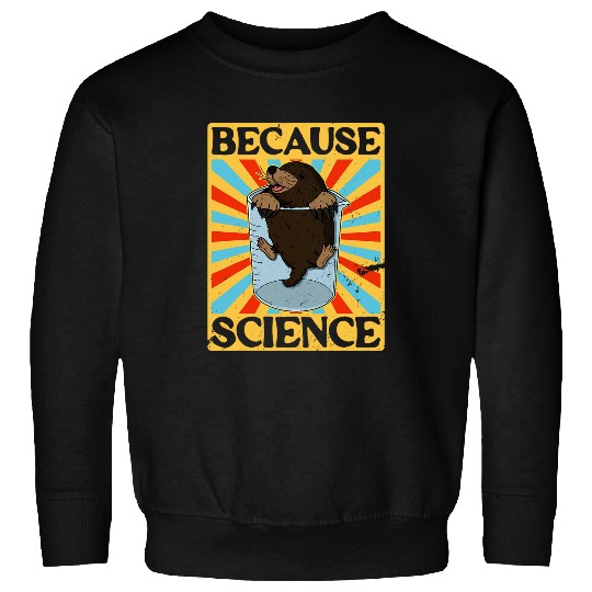 Mole chemistry number chemist physics scientist periodically 212 Sweatshirts