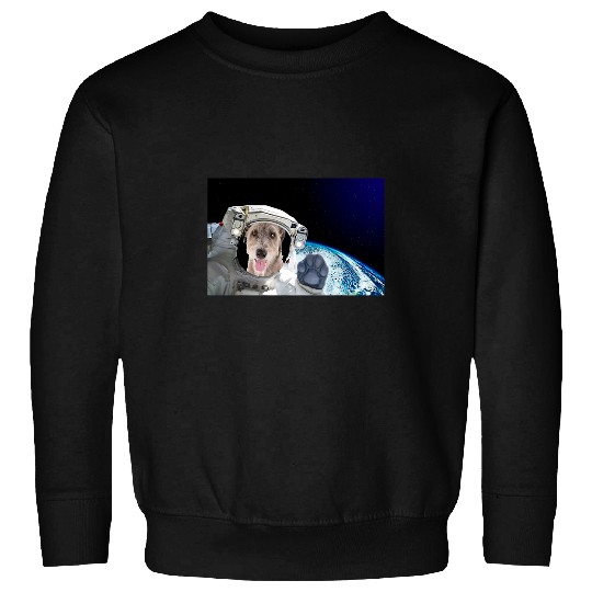 Dog in Space Great Pyrenees 2 Sweatshirts