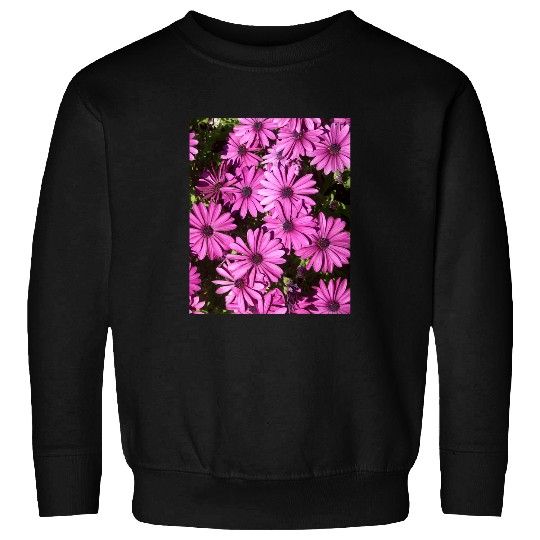 Magenta Pink Osteospermum Flowers In The Garden Photograph Sweatshirts