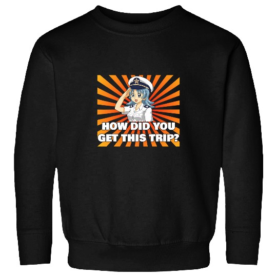 Funny Flight Attendant Gift Pilot How Did You Get This Trip 1 Sweatshirts