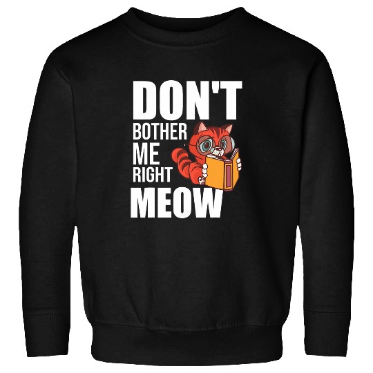 Dont Bother Me Right Meow Cute Cat Reading Book Bookworm Sweatshirts