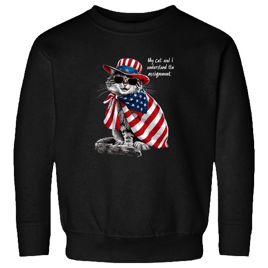 My Cat And I Understand The Assignment 2024 Democrat Liberal Sweatshirts