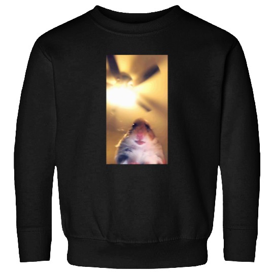 Hamster Meme Camera Hamster Funny Webcam Sweatshirts