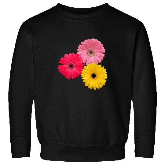 gerbera flowers, daisies, gerberas, daisy, blooms Sweatshirts