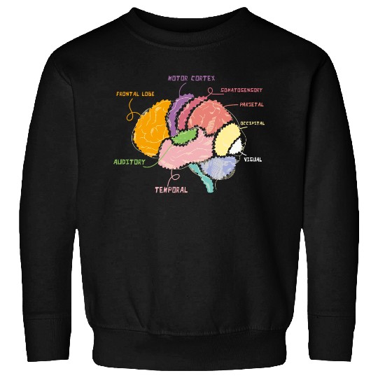 Neurology Brain Map Parts Of The Brain Anatomy Sweatshirts
