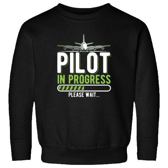 Pilot Loading Airplane Funny Pilots Sweatshirts