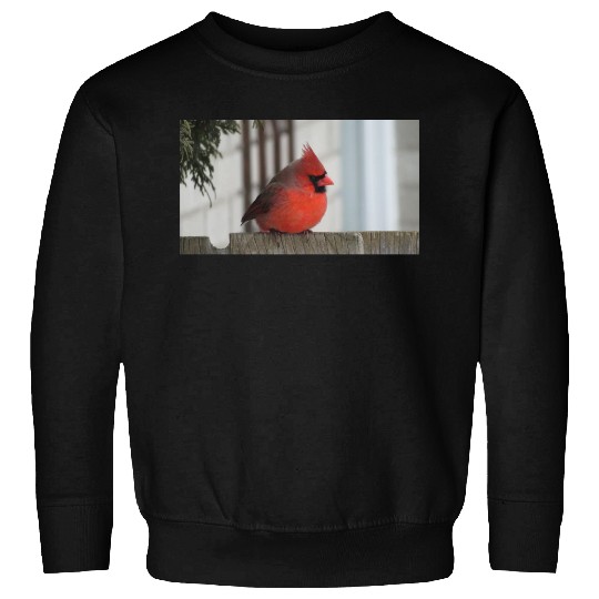 Brilliant Cardinal Bird 2 Sweatshirts