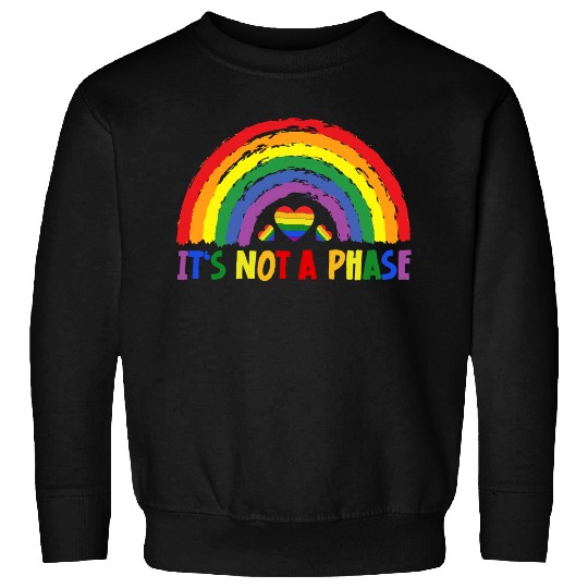 LGBTQIA+ Rainbow Flag Gay Pride It's Not A Phase Sweatshirts