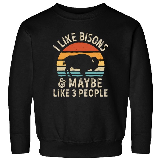 I Like Bisons and Maybe 3 People Retro Sunset Vint Sweatshirts