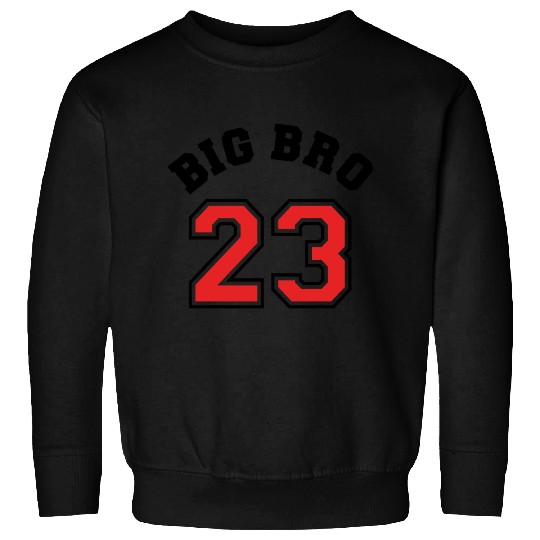 Big Bro 2023 Big Brother Baby Pregnancy Birth Boy Sweatshirts