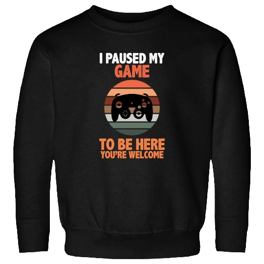 I Paused My Video Game Player Gamer Gaming Gifts Sweatshirts