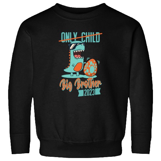 Only Child Dinosaur Baby Egg 2023 Big Brother Sweatshirts