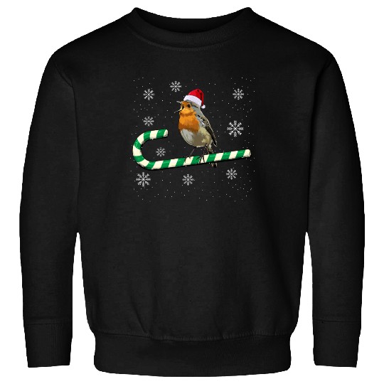 Robin Bird Watching Redbreast Birding Christmas Sweatshirts