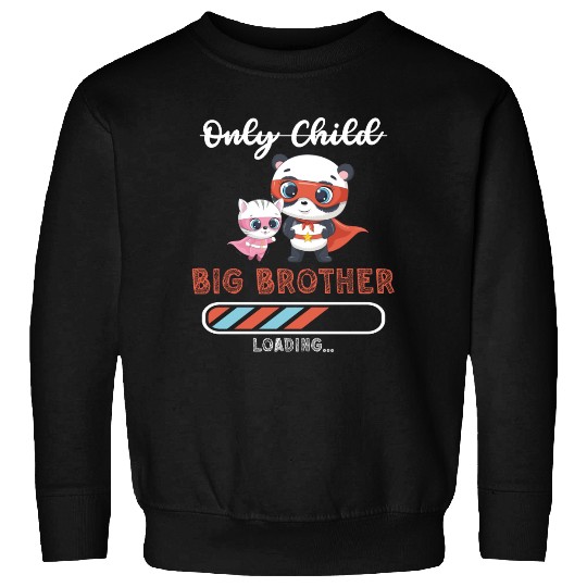 Big brother super hero panda cat Sweatshirts