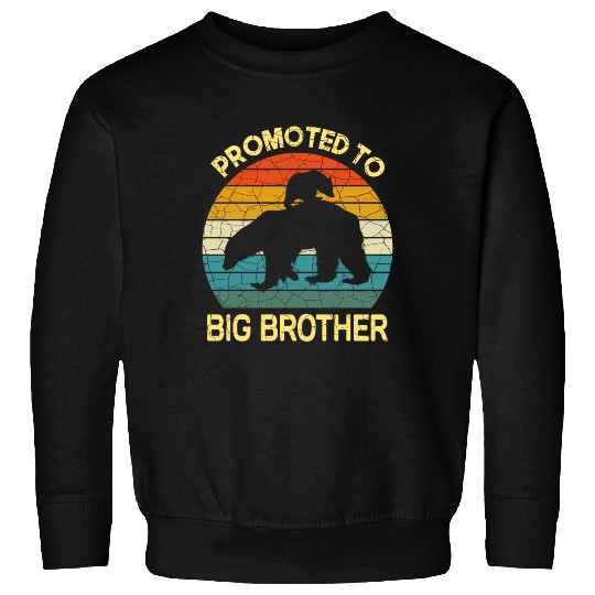 Promoted to big brother Bear Gift, baby birthday Sweatshirts