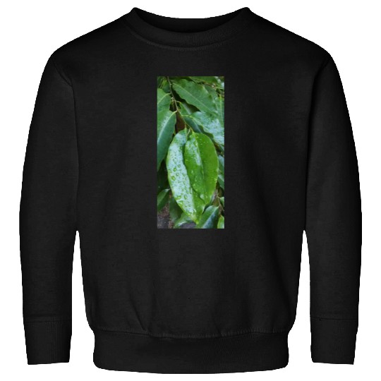 beautiful green plant in the garden Sweatshirts